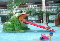 Frog Water Slide Kids Thiết bị sân chơi nước cho bể bơi